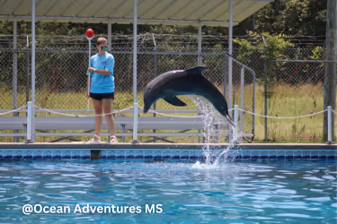 ocean adventures ms