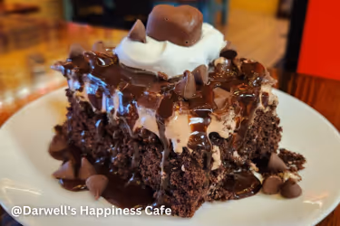 Brownies at Darwell's