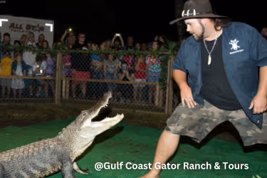 gulf coast gator and ranch tours