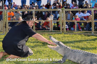 Gulf Coast Gator Ranch & Airboat Tours