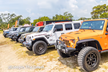 Jeeps parked in a line