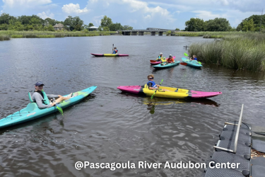People kayaking at the Pascagoula River Audubon Center