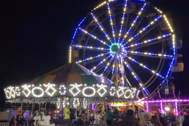 Harbor Lights Winter Festival at Jones Park