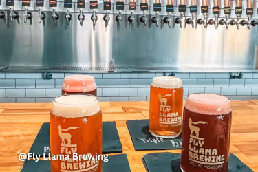 Fly Llama Brewing
