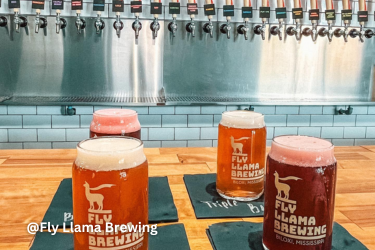 Fly Llama Brewing