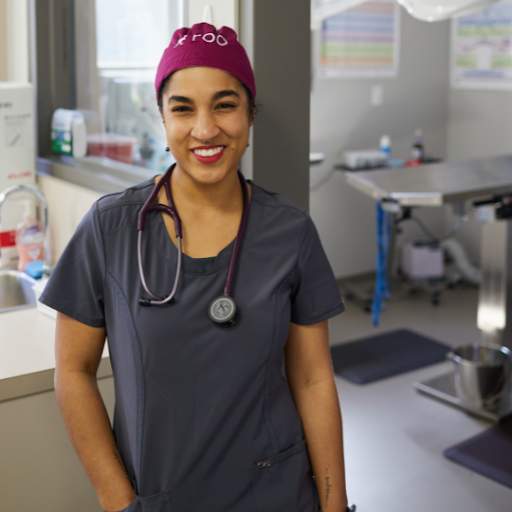 Relief Staffing in Veterinary Medicine: A Comprehensive Guide