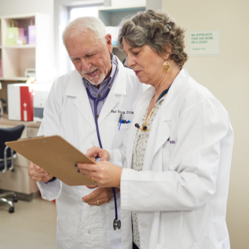 Roo Veterinary Relief Management: Reviews and Insights