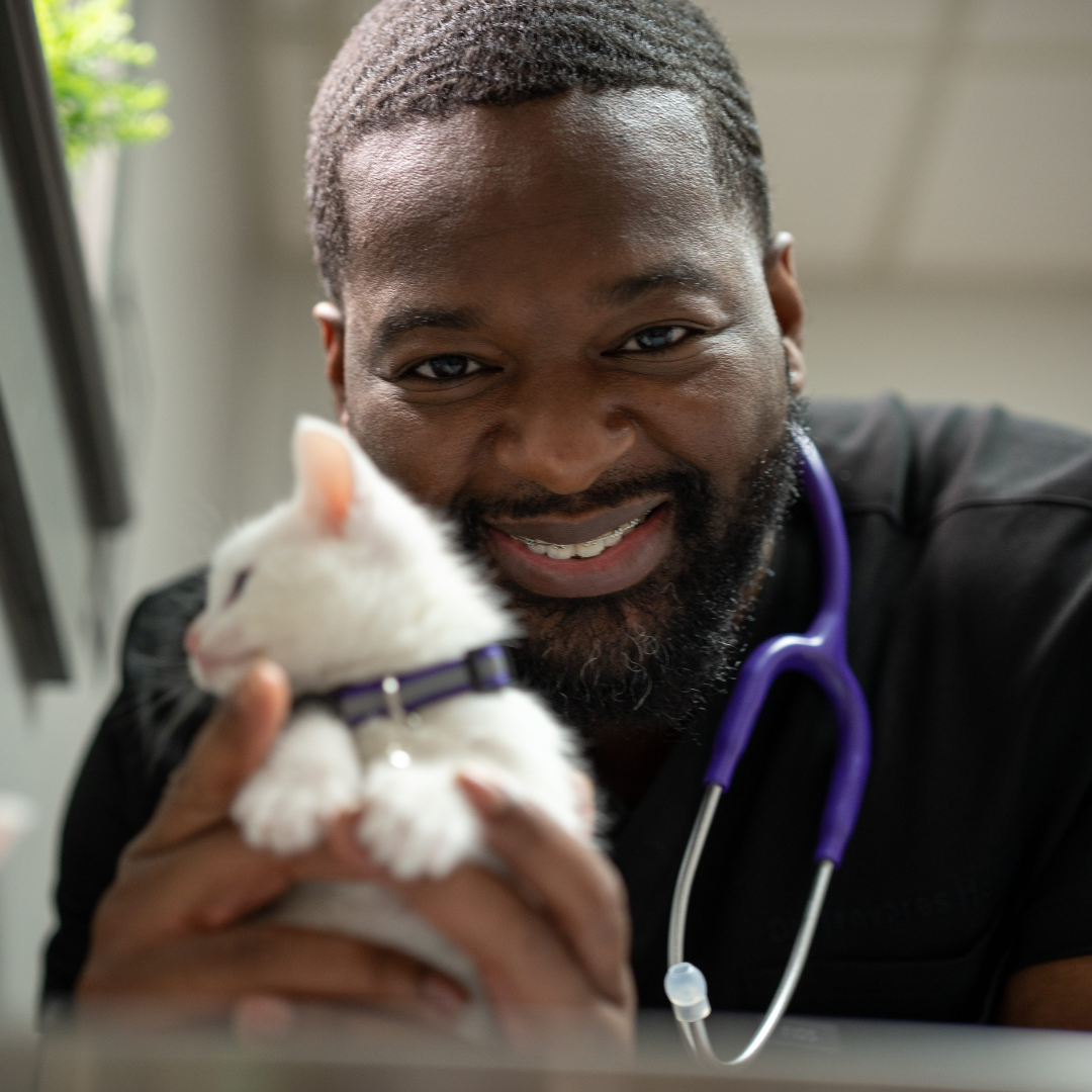 Common Challenges Faced by Vet Hospitals and How to Solve Them