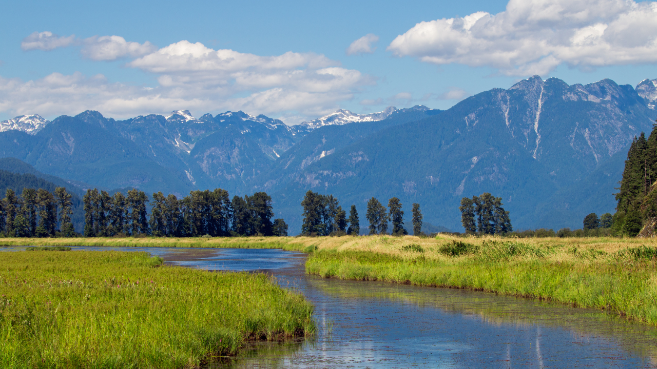 painters in fraser valley bc