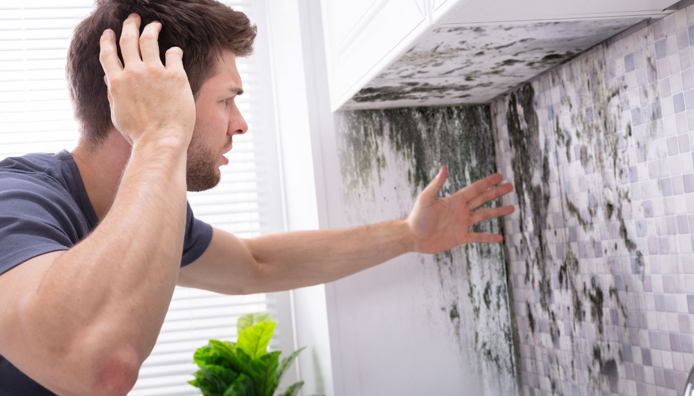 how do you remove mold from painted walls​
