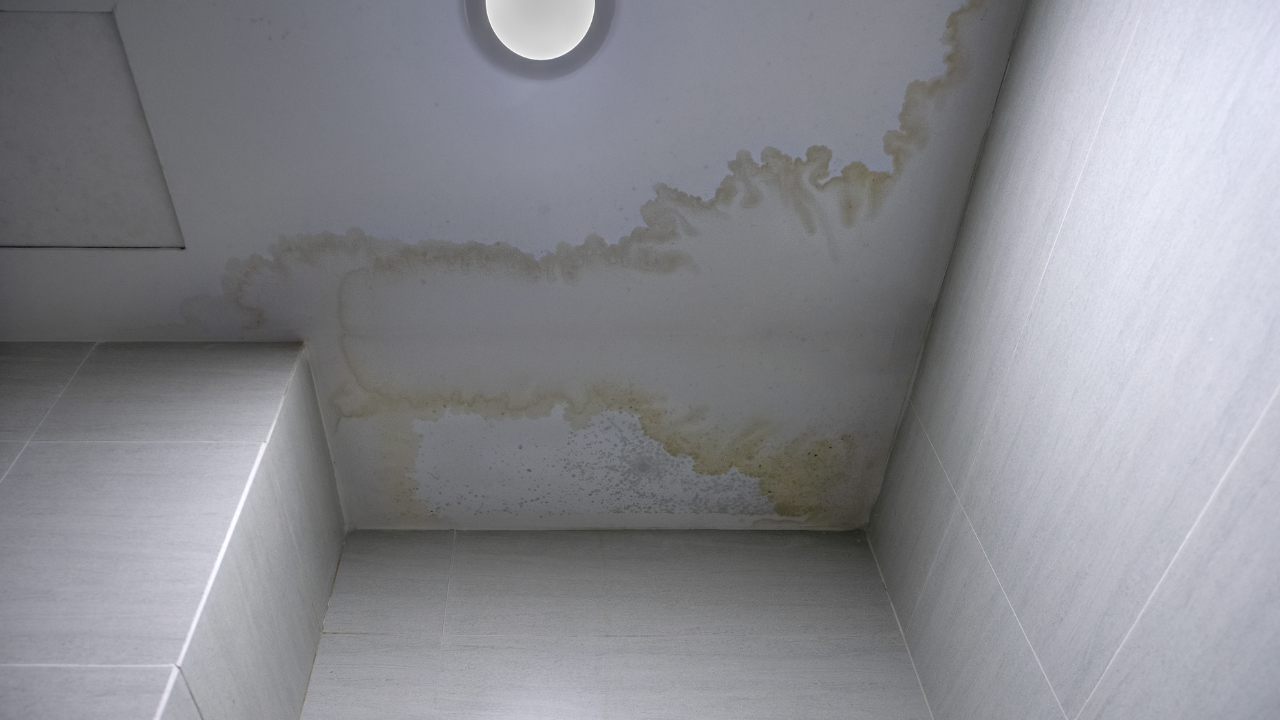 water stain on ceiling