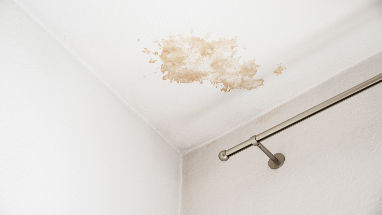 water stain on ceiling​