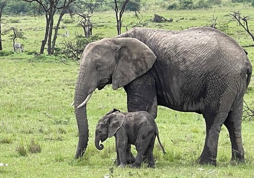 Ich möchte bei ihnen bleiben... :-(