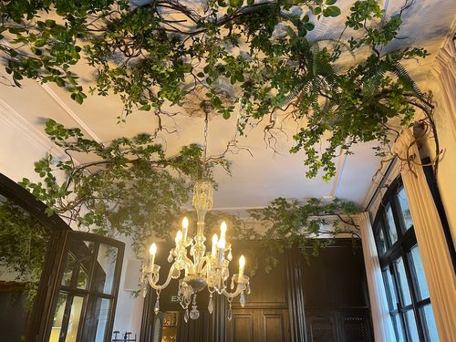 der Wand- und Deckenbegrünung.