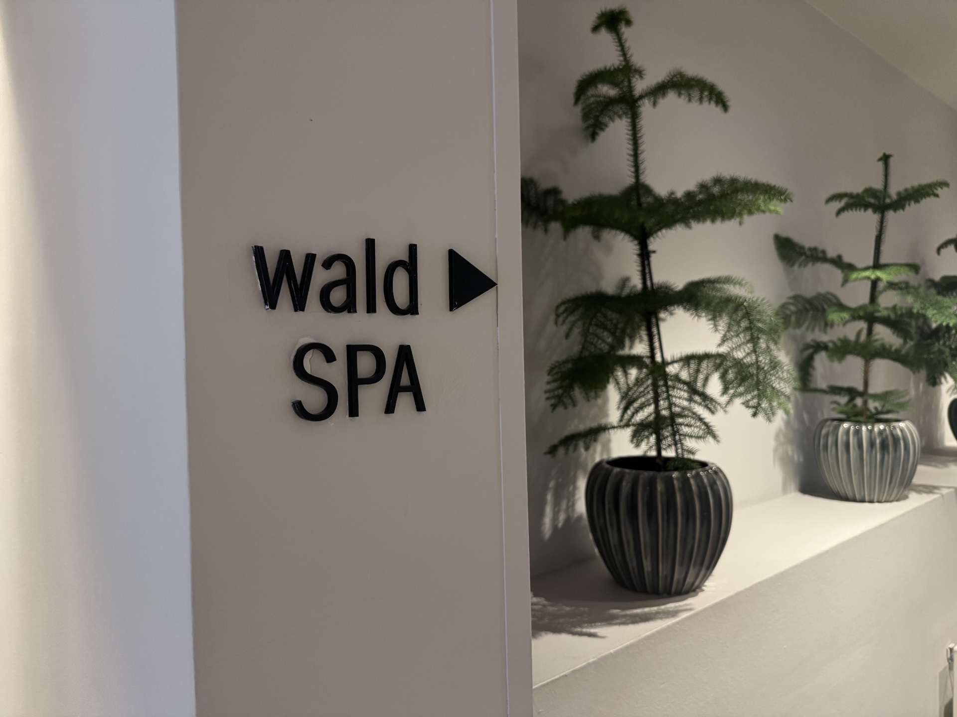 Das Konzept Wald ist deutlich!