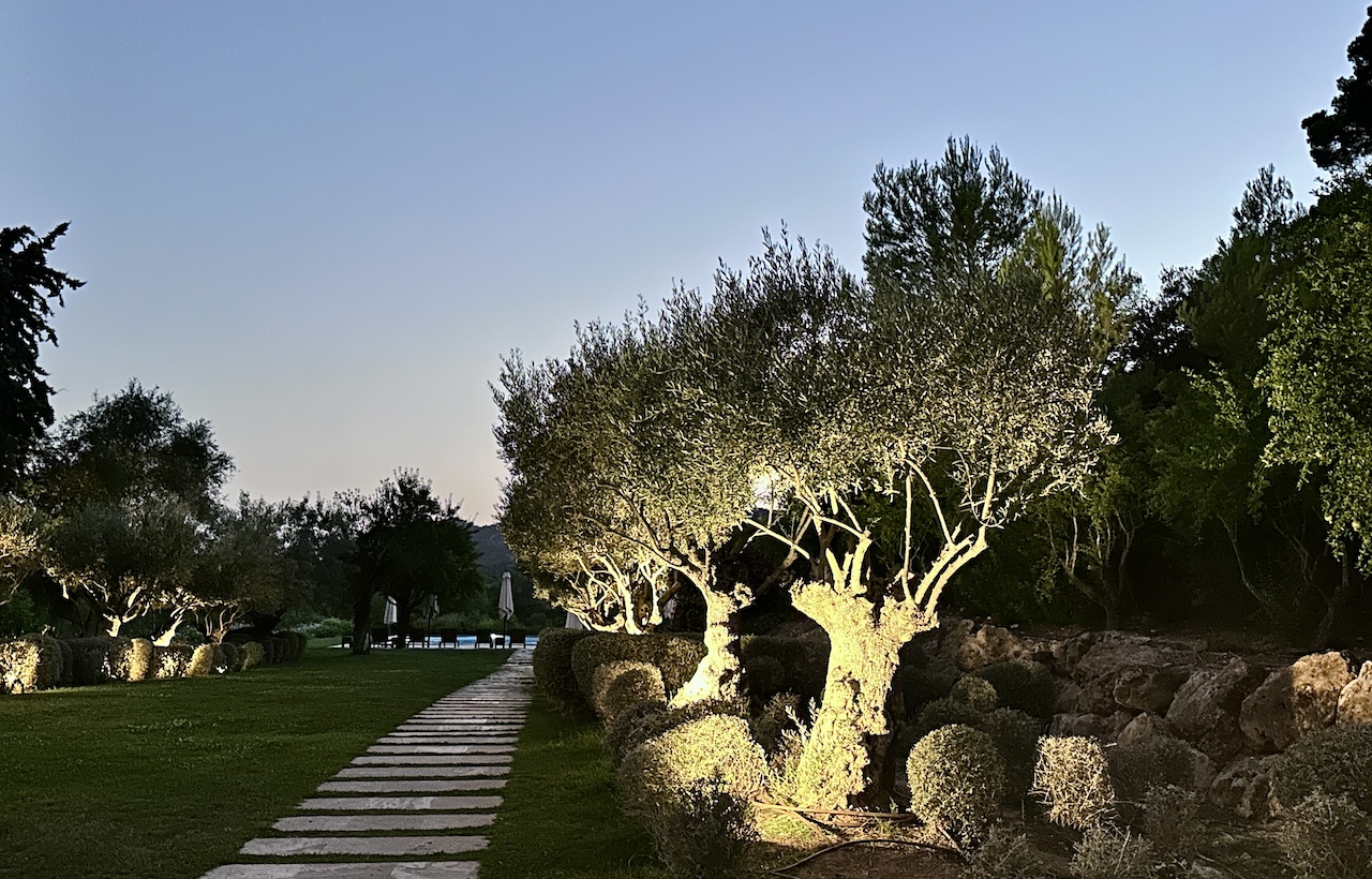 Der Blick beim Abendessen im Olivera Restaurant