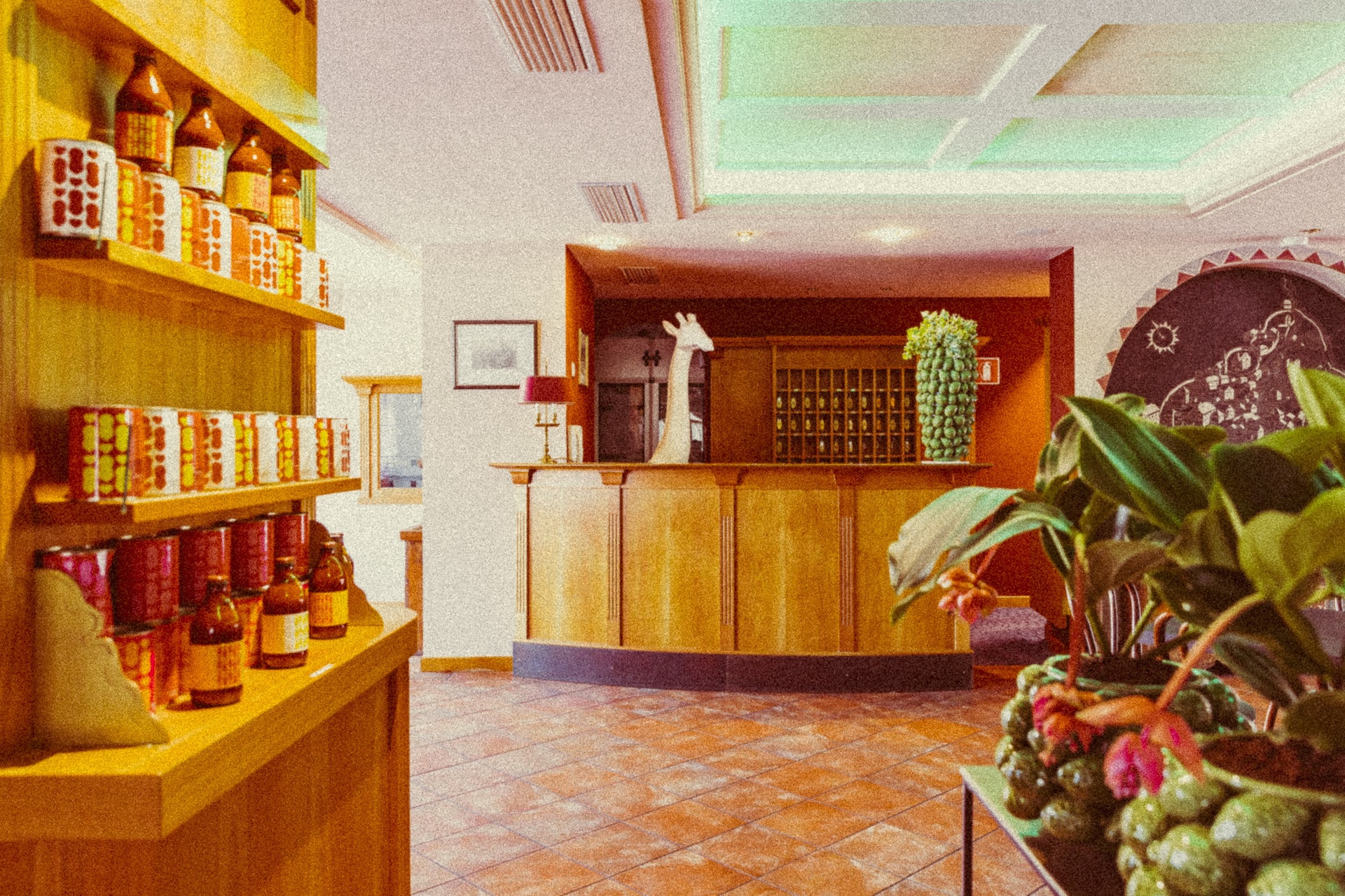 © Amadeus Ora & Amore