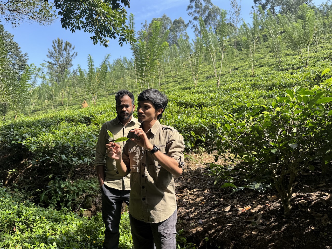 Auf der Teaexperience-Tour