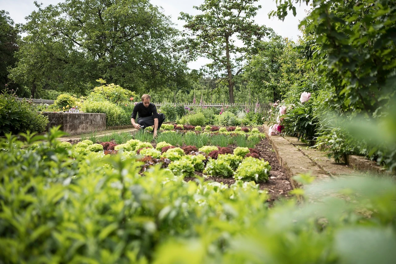 Der Gemüsegarten © Alex Filz