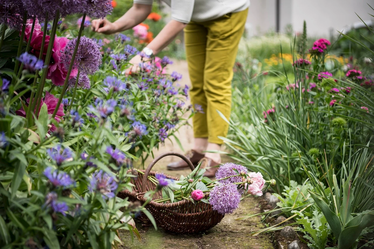 Blumen aus dem eigenen Garten © Alex Filz