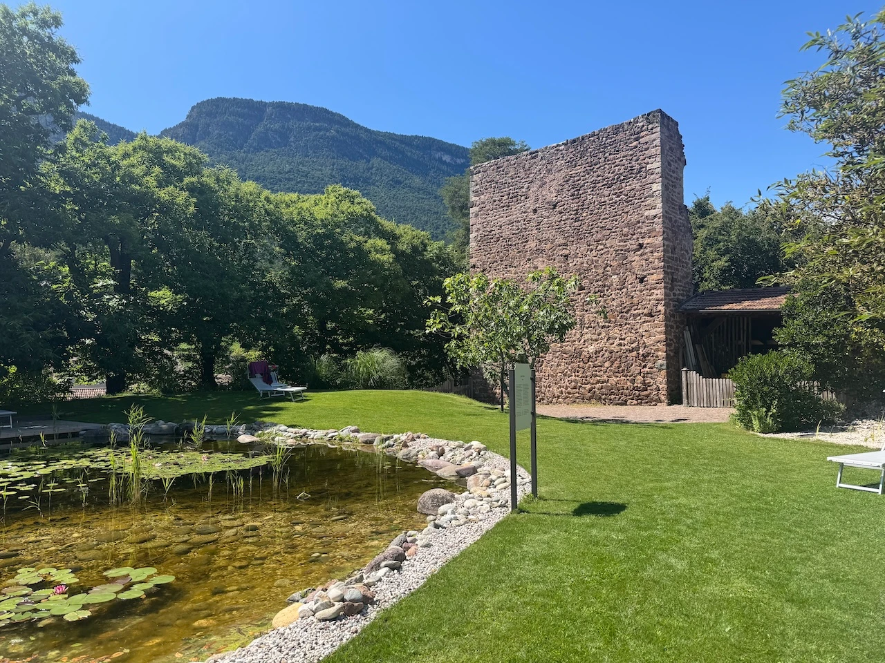 Der Naturbadeteich mit Liegewiese