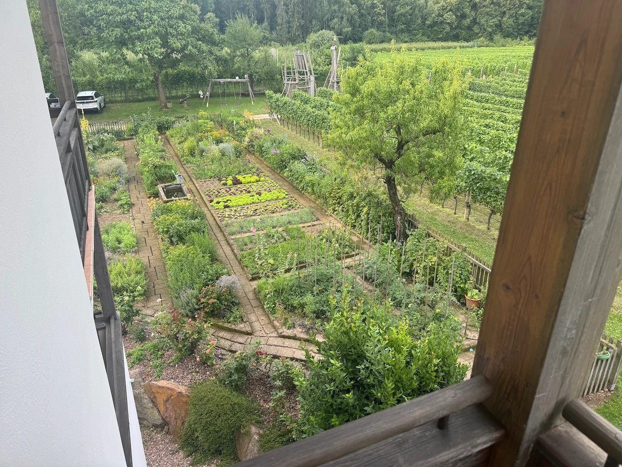 Blick vom Zimmer auf den Bio-Garten