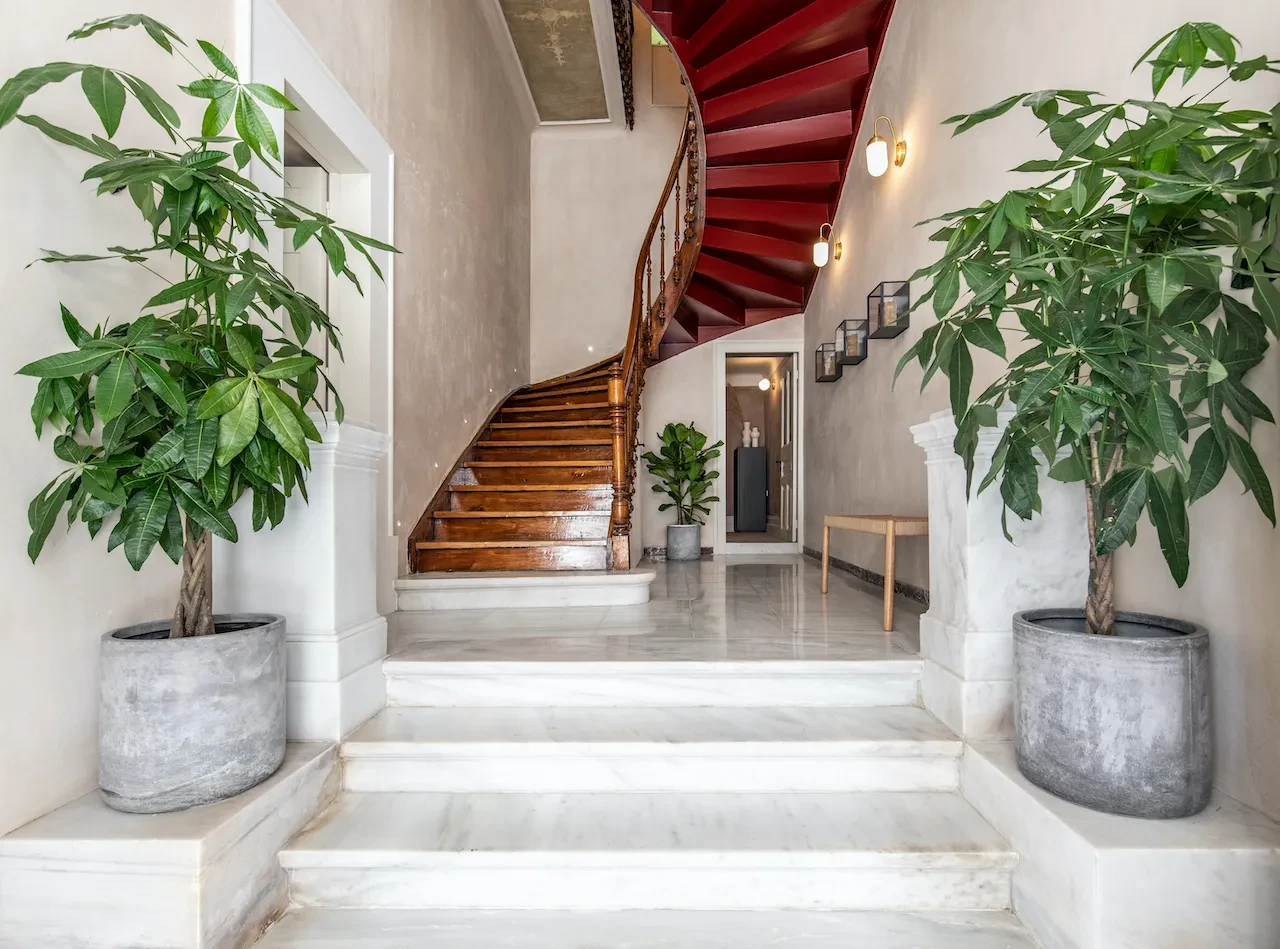 Monsieur Didot I AthenMonsieur Didot I Athen