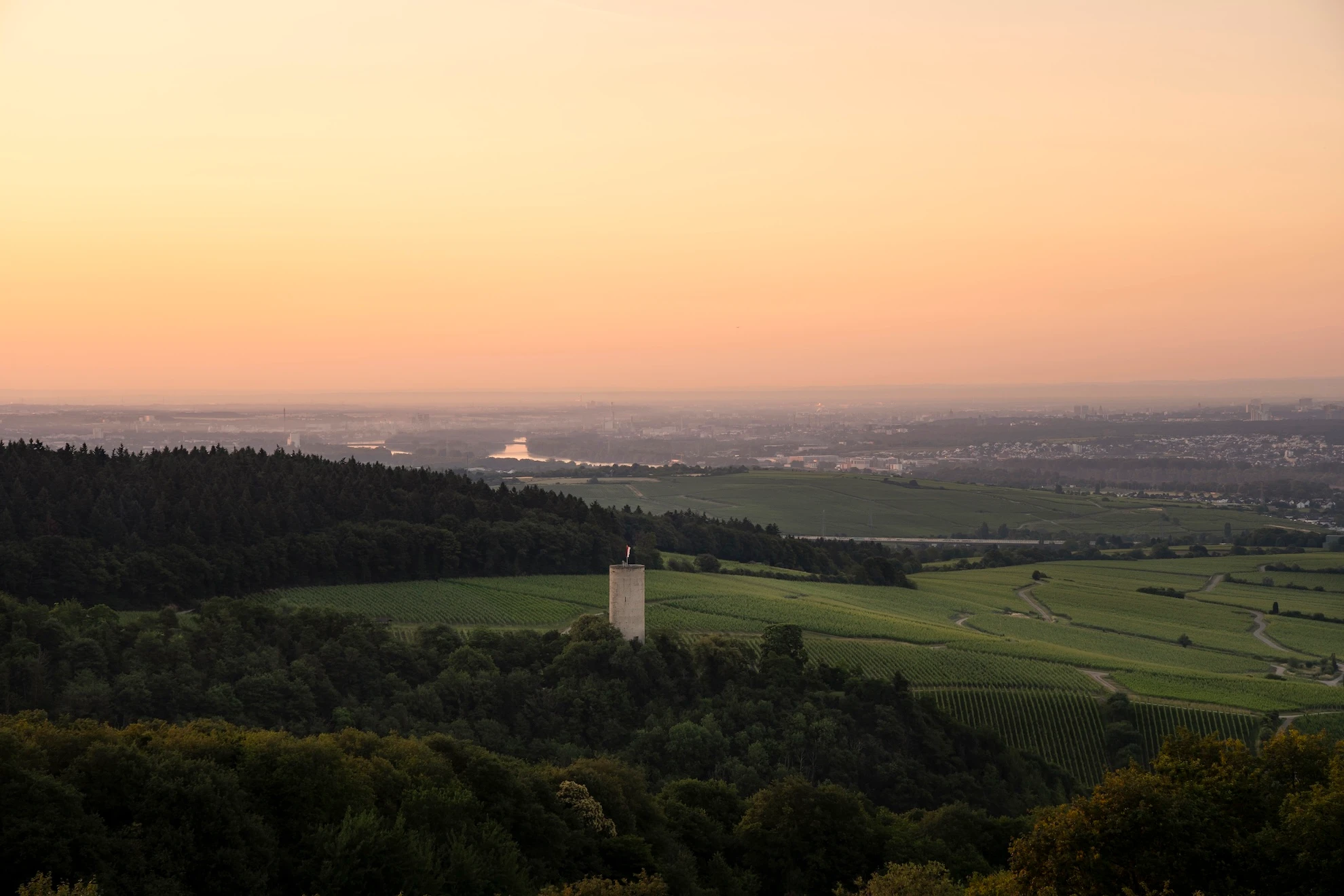 WALD.WEIT: Blick über den Rheingau © Tim Karapetian
