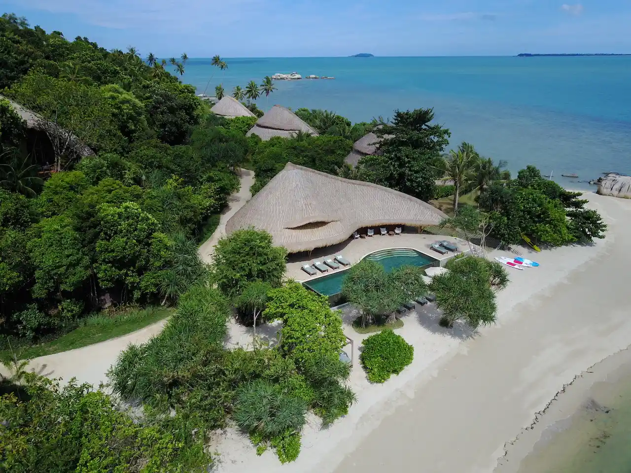 Cempedak Indonesien Fernreise