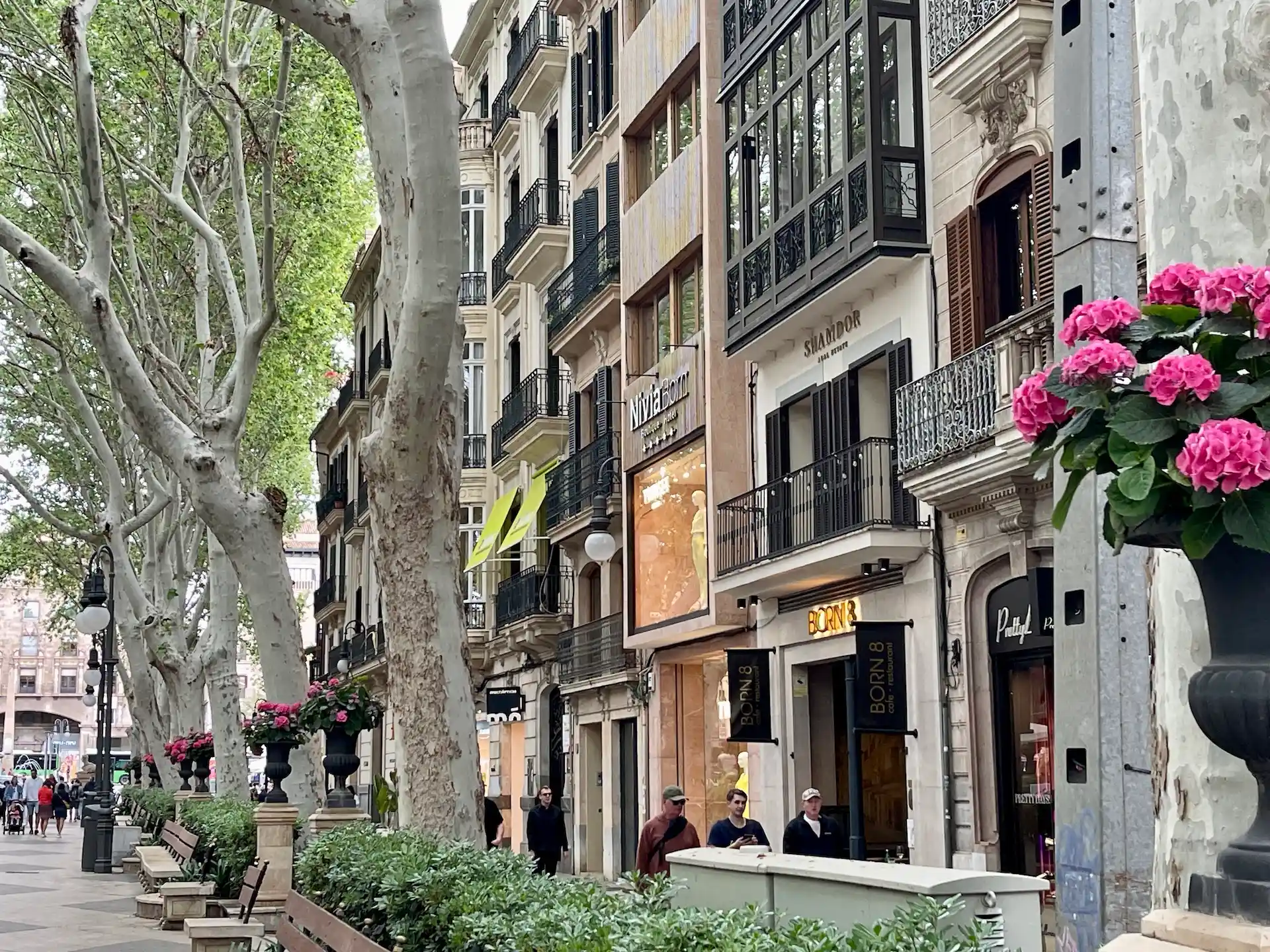 Die Nachbarschaft, der berühmte Paseo del Borne