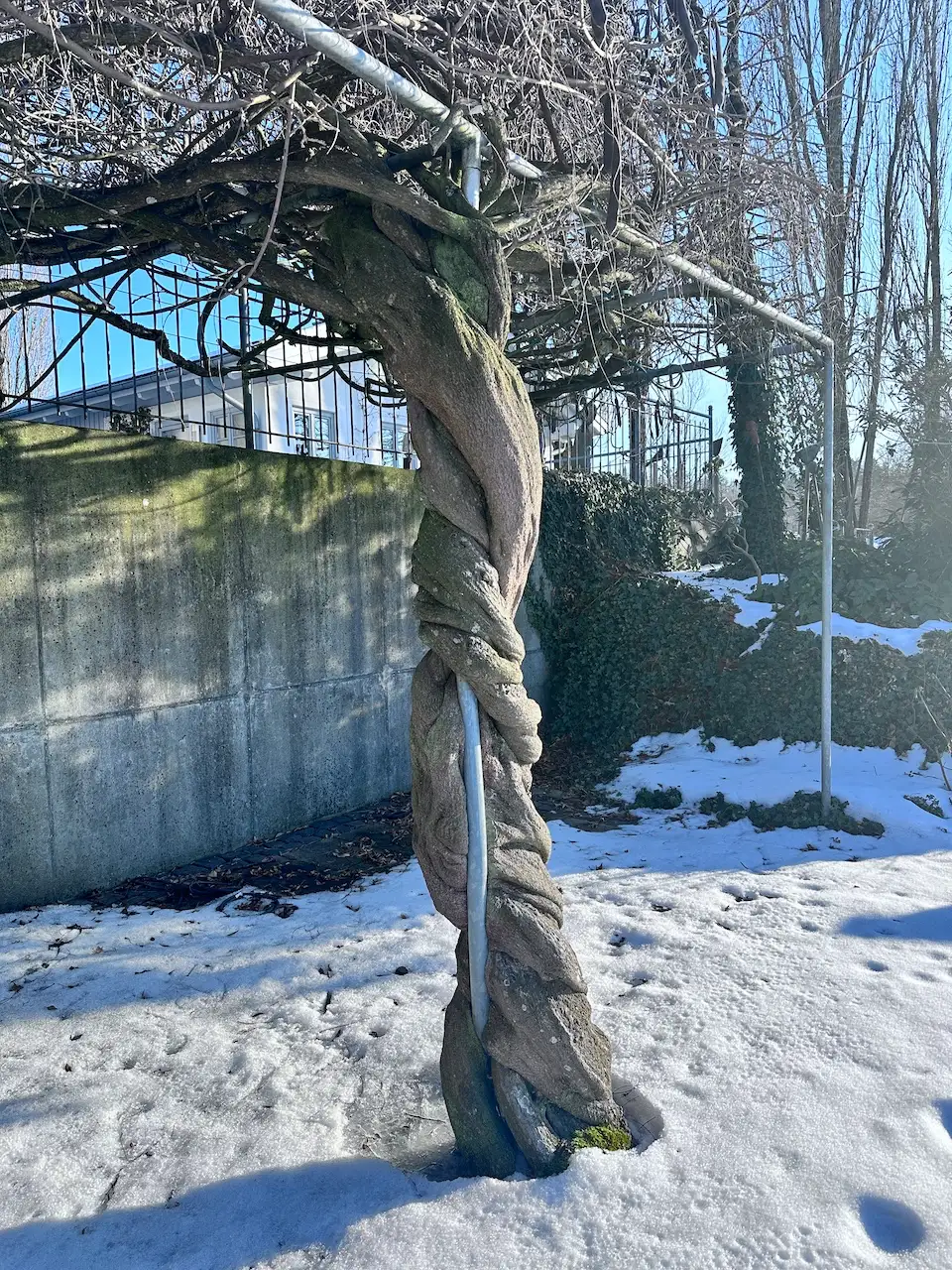 Die Natur bahnt sich ihren Weg...