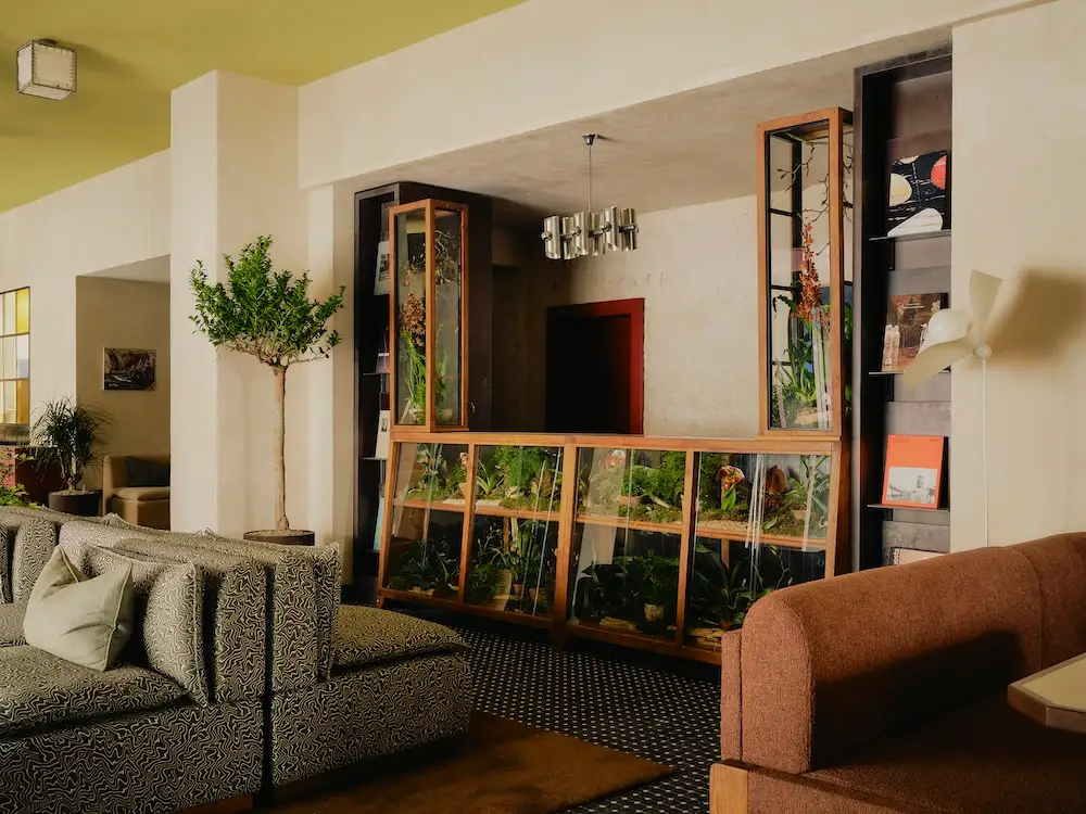 The Dean Berlin - Die Rezeption und Lounge, begrünt und urban