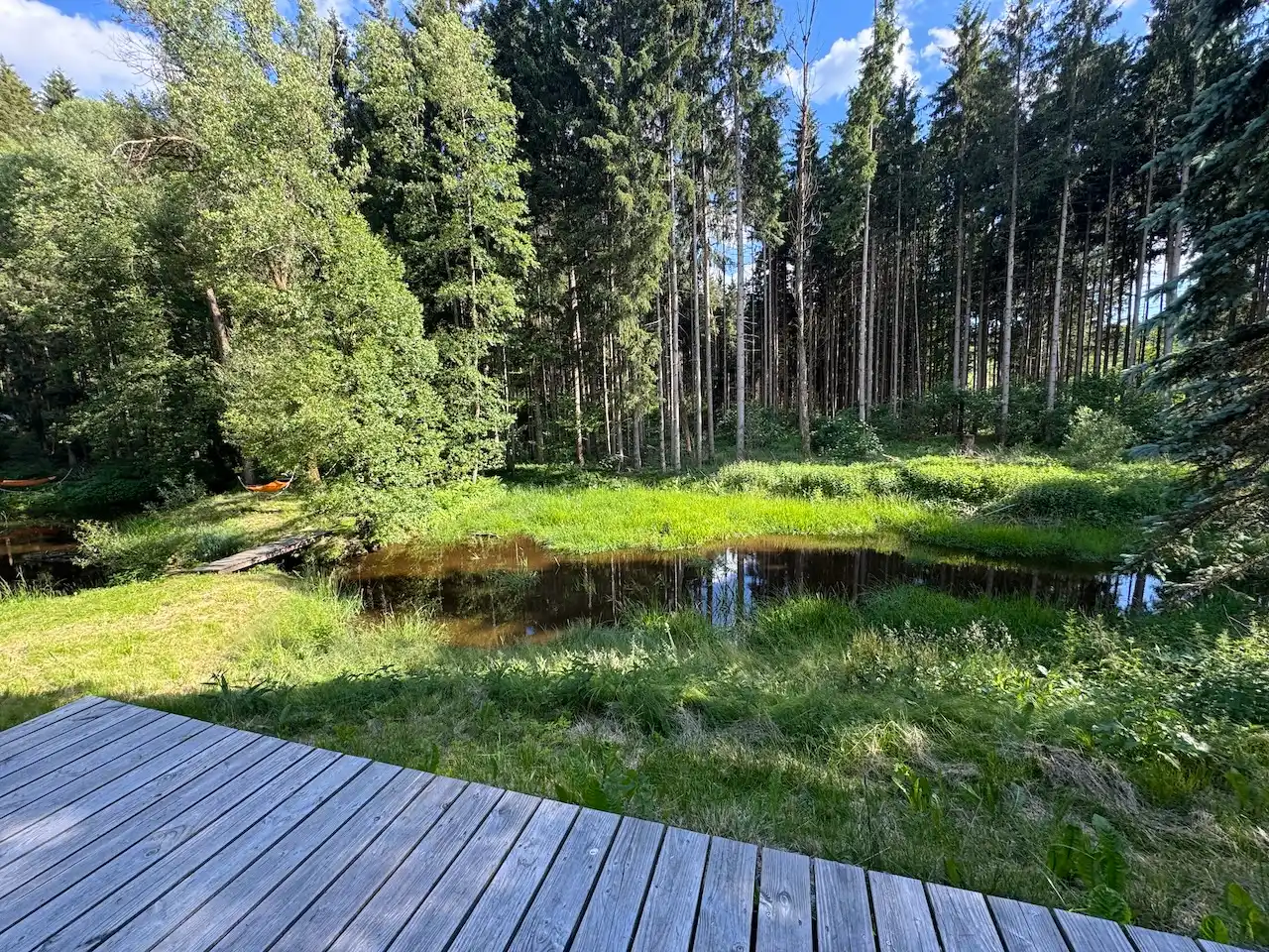 Yoga-Plattform im FORSTGUT mitten im Wald