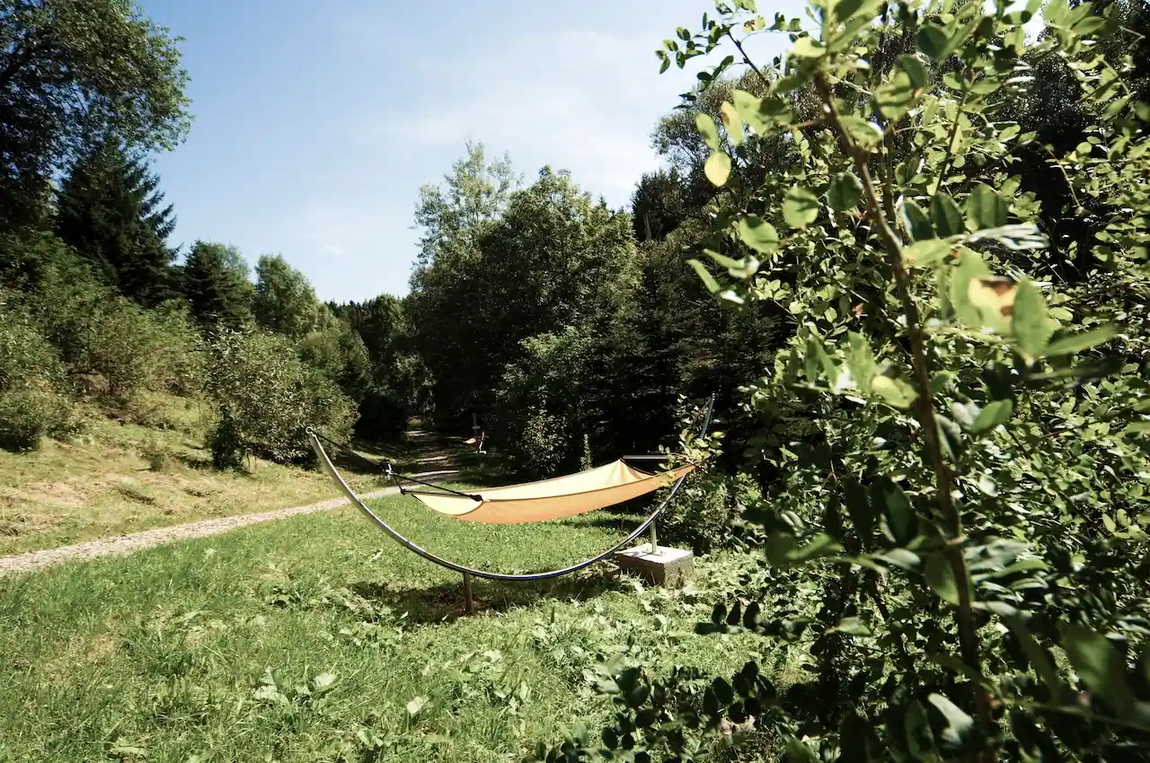 Hängematte im Wald hinter dem FORSTGUT