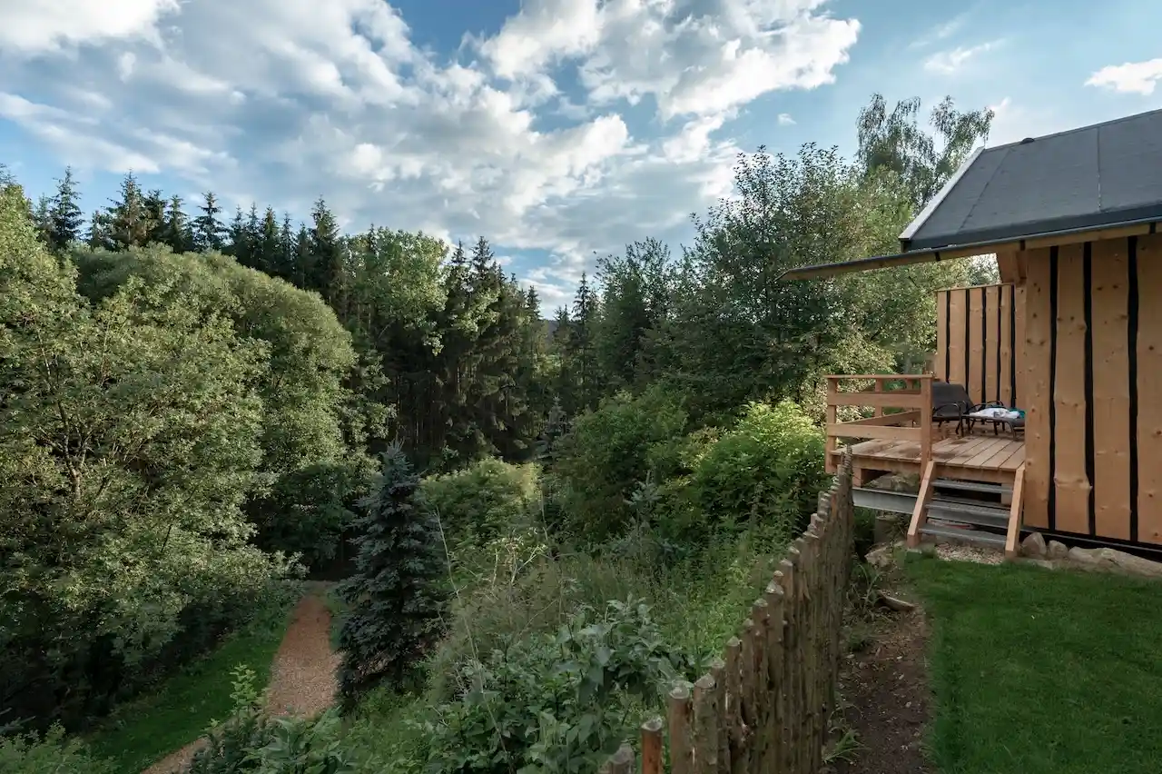 Wald und Chalet aus Holz im FORSTGUT