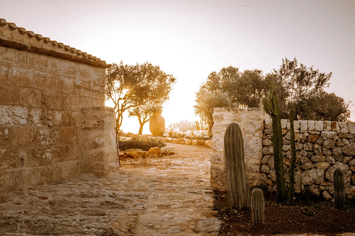 Natursteinpfad und Trockenmauer mit Kakteen im Außenbereich des Son Blanc Farmhouse Menorca mit Gegenlicht der Abendsonne durch Olivenbäume.