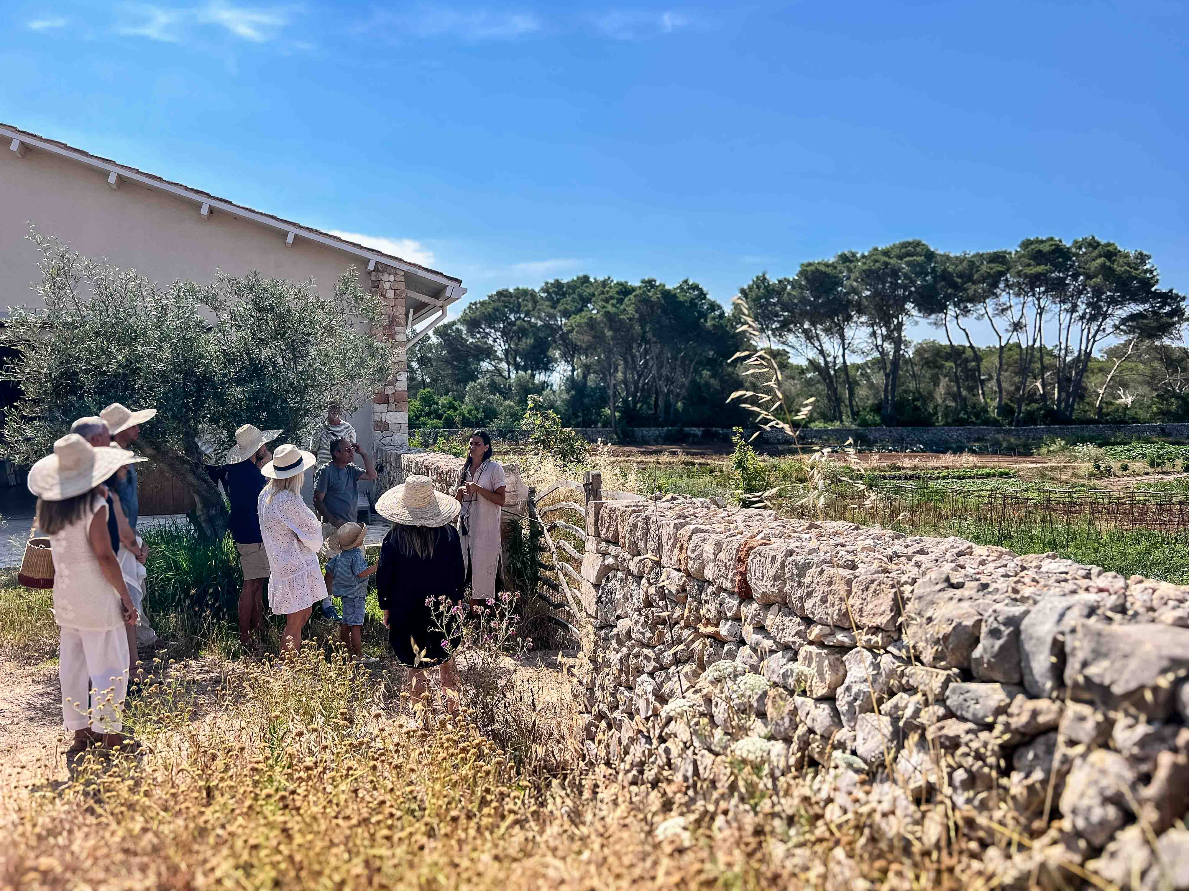 Gruppe von Hotelgästen bei einer geführten Tour durch den Gemüsegarten des Son Blanc Farmhouse an einer Trockensteinmauer.