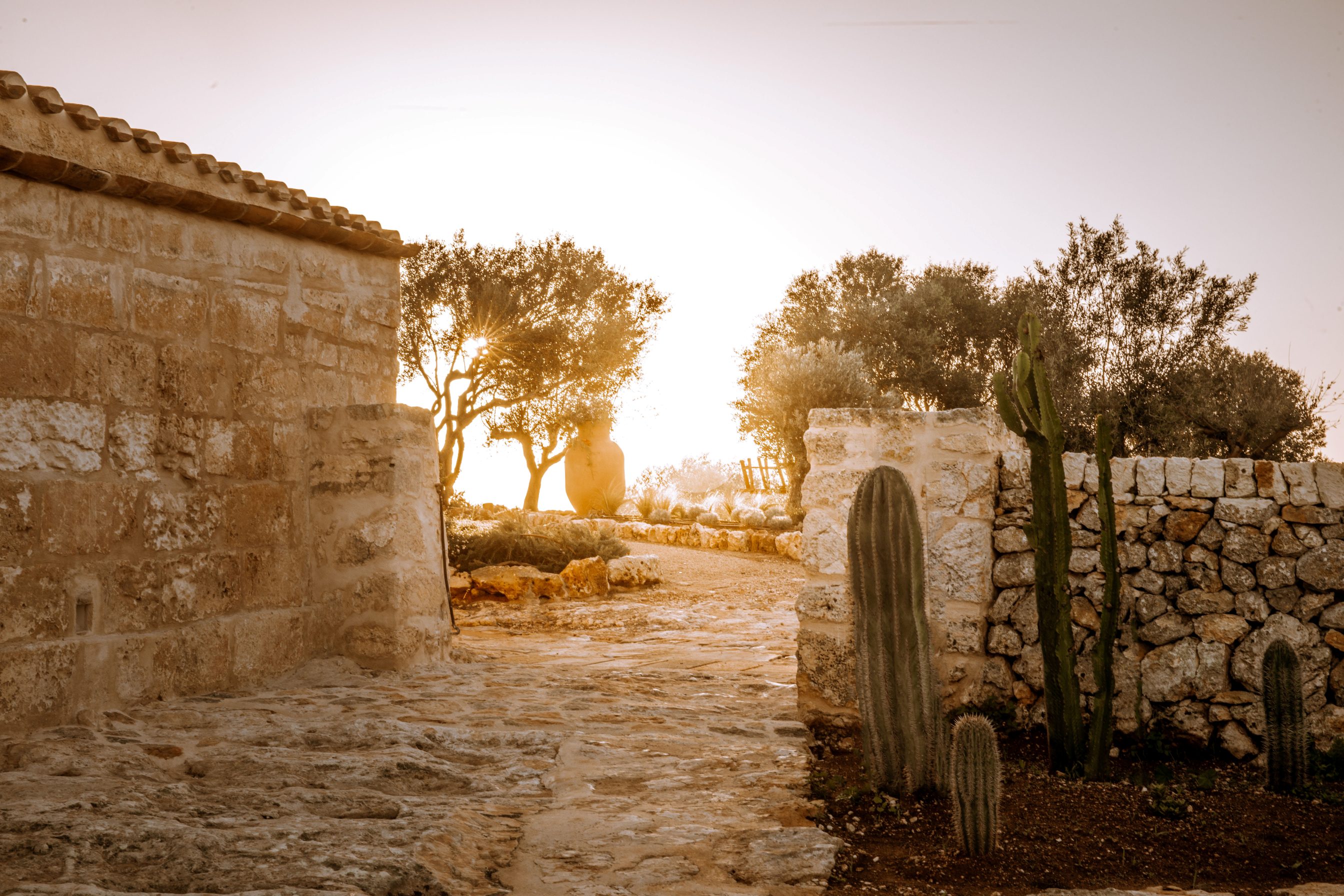Natursteinpfad und Trockenmauer mit Kakteen im Außenbereich des Son Blanc Farmhouse Menorca mit Gegenlicht der Abendsonne durch Olivenbäume.