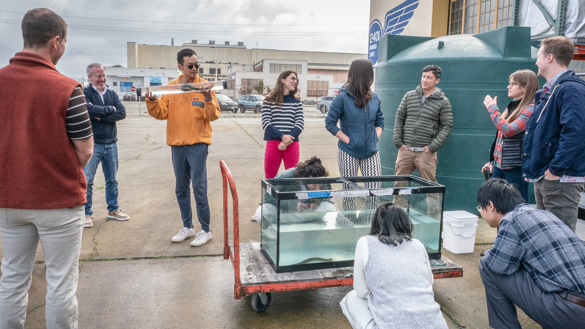 Natel team with eel
