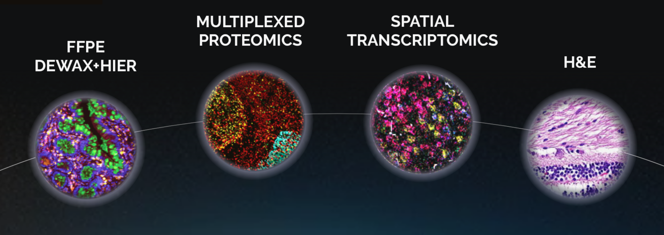Four circular images representing FFPE Dewax+HIER, Multiplexed Proteomics, Spatial Transcriptomics, and H&E, showing colorful cellular structures and tissue staining.