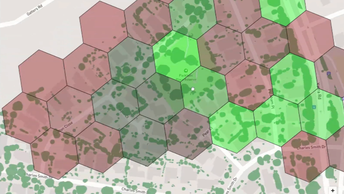 Machine learning programme calculating the canopy cover of a city and using the information to support council decision making