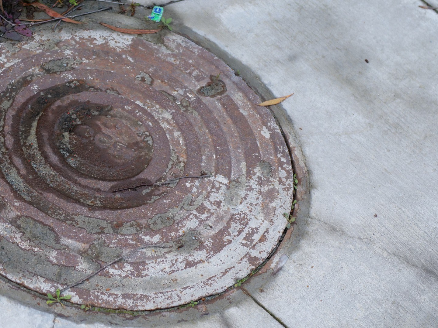 Building a resilient potable water system for a community affected by extreme weather events in Auckland, New Zealand