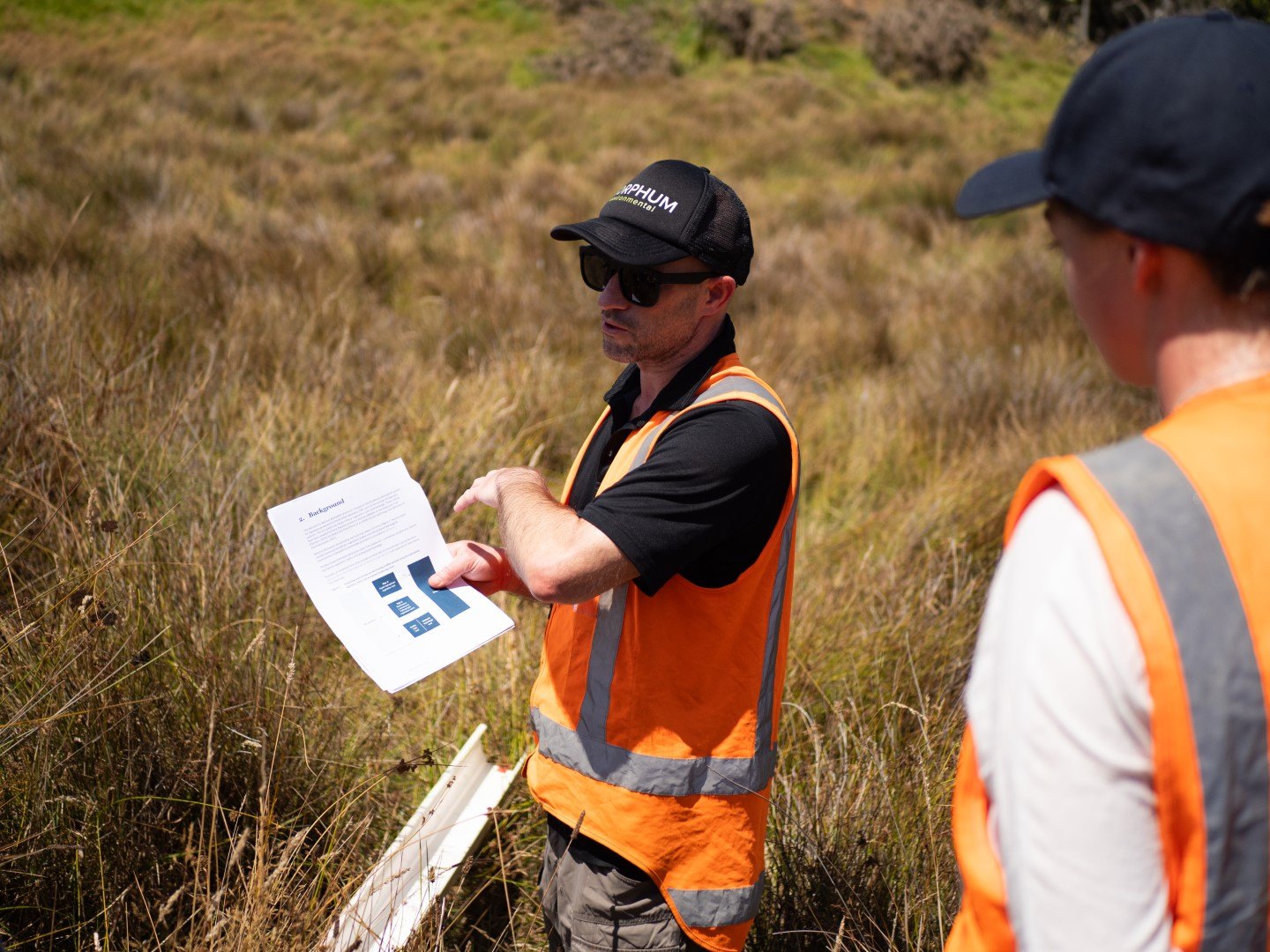 Assessing a stormwater outfall for the water quality and requirements from the government of New Zealand