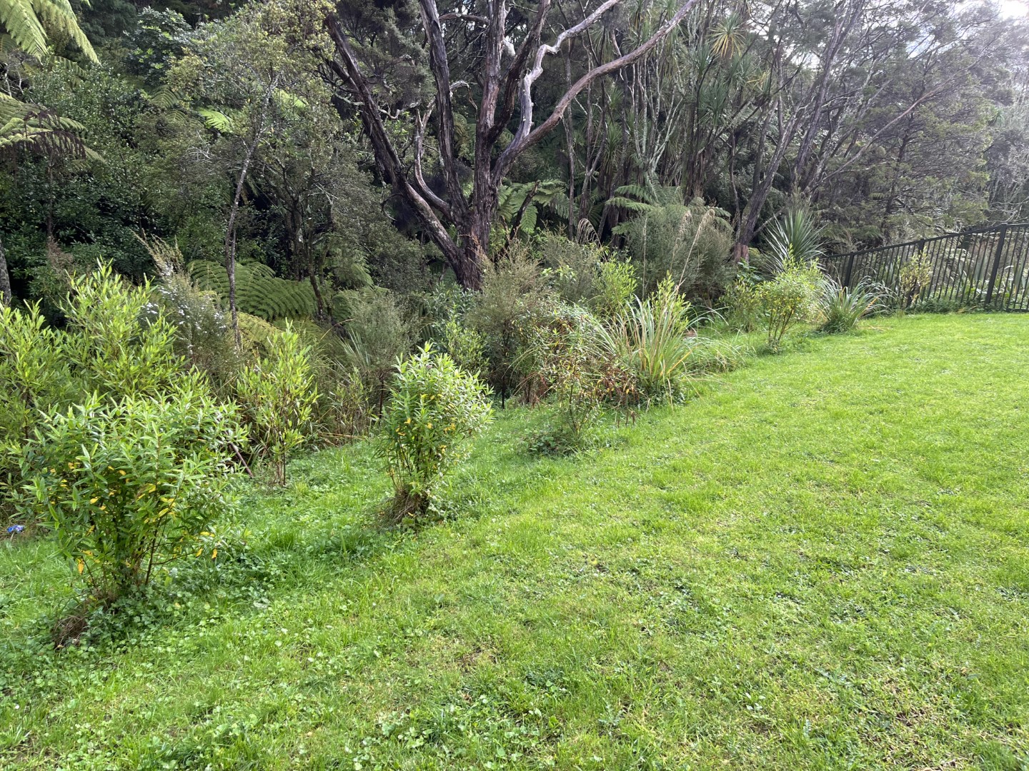 Planted area of Moire Reserve with annual monitoring from trained ecologists