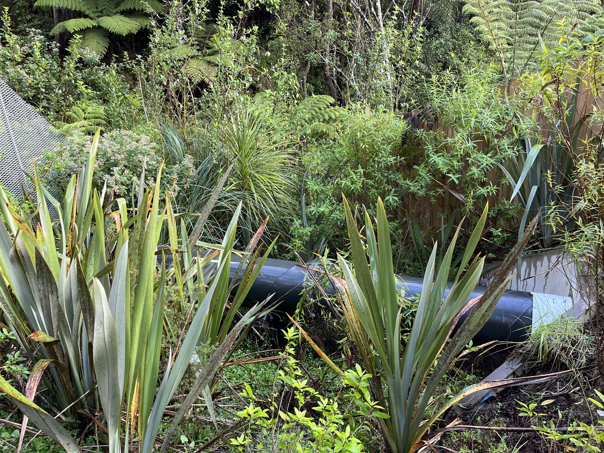 Wastewater project constructed with an ecological impact assessment from Morphum followed by a re-planting plan to rebuild habitat