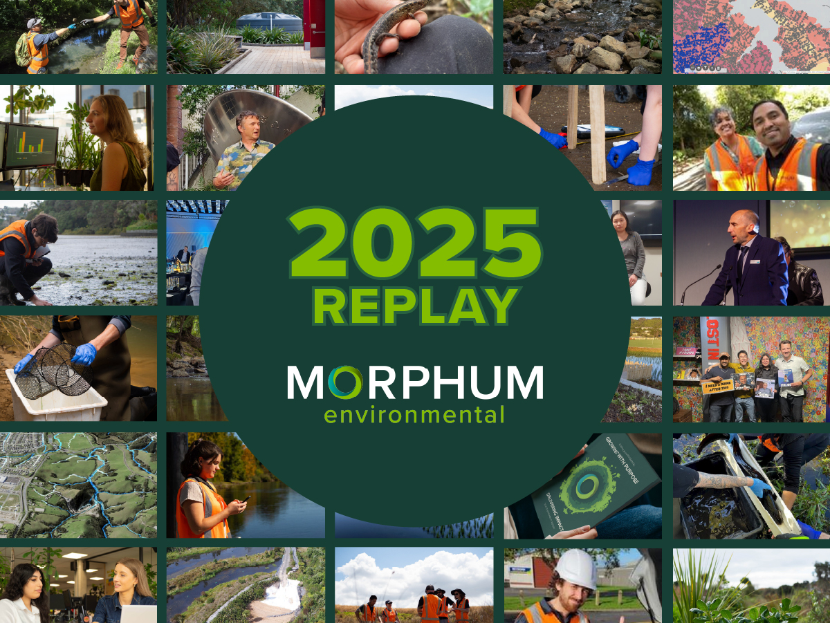Morphum 2025 Replay cover art with images of environmental engineering, science, gis platforms and business sustainability consulting
