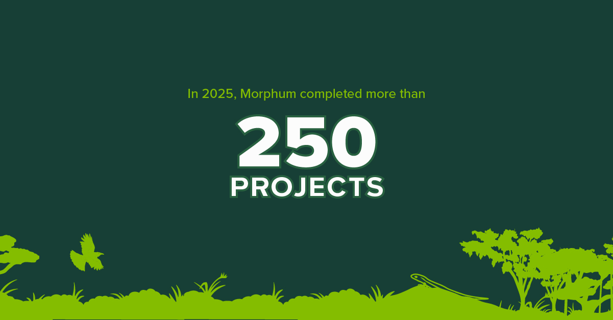 Morphum completed more than 250 environmental projects in 2025