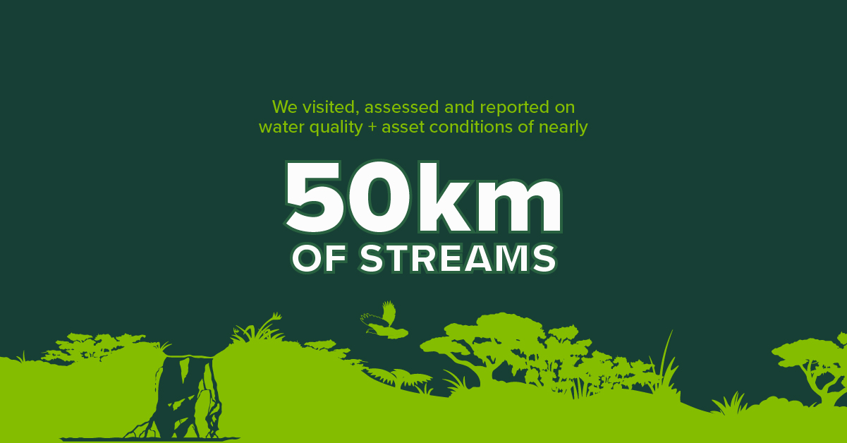 In 2025, Morphum streamwalked ans assessed nearly 50km of streams