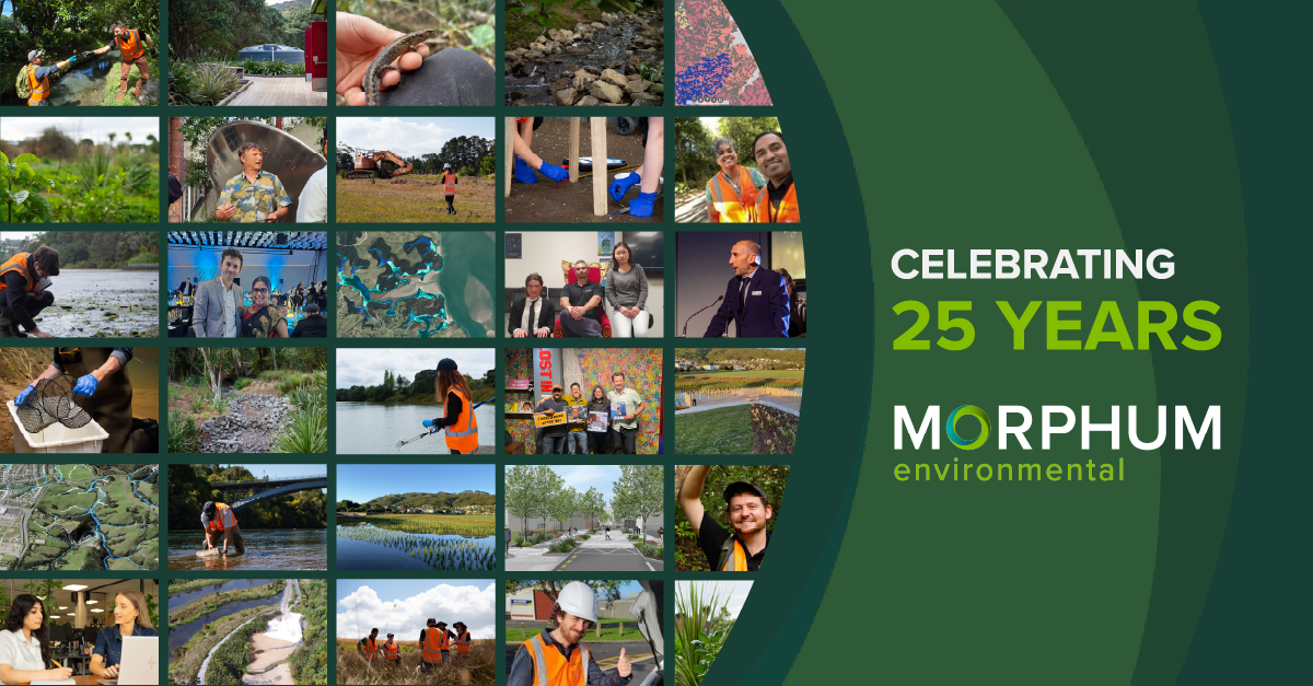A collage of events from the last two decades as Morphum celebrated their 2025 anniversary this year