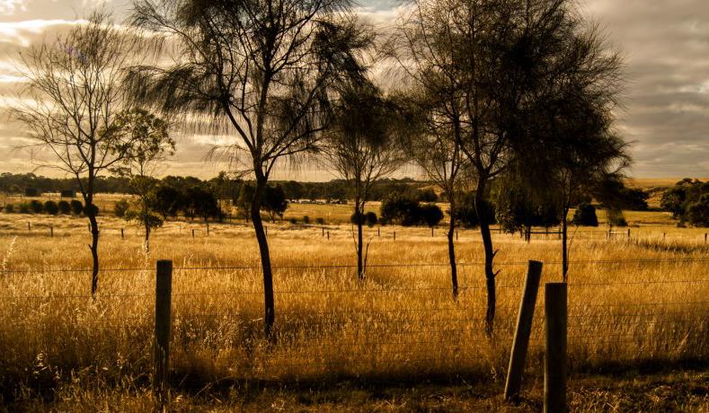 The rural pre-development landcape of the golden plains in Melbourne where possible development may occur using the data from a complete infrastructure analysis and plan for sustainable development